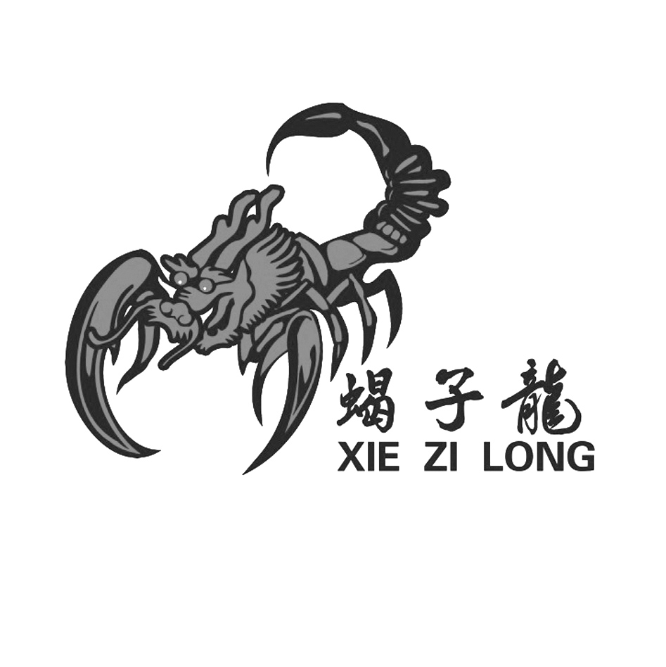 蝎子龙XIEZILONG