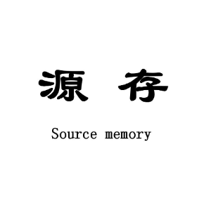 源存 SOURCE MEMORY