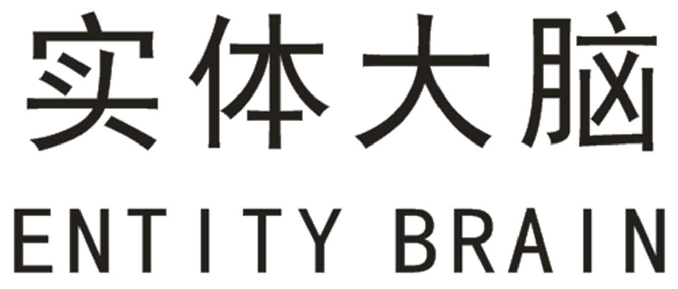 实体大脑 ENTITY BRAIN