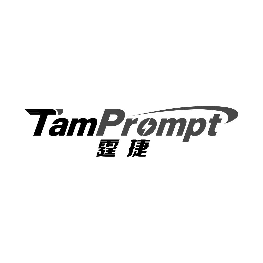 霆捷 TAMPROMPT