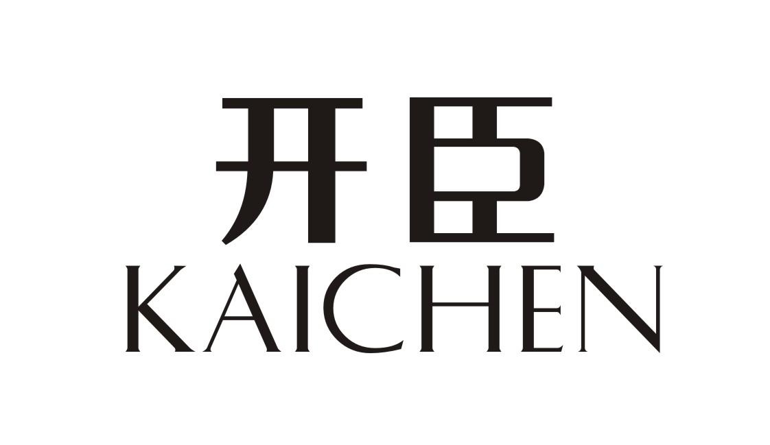 开臣