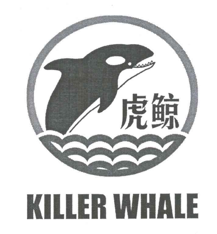 虎鯨;KILLER WHALE