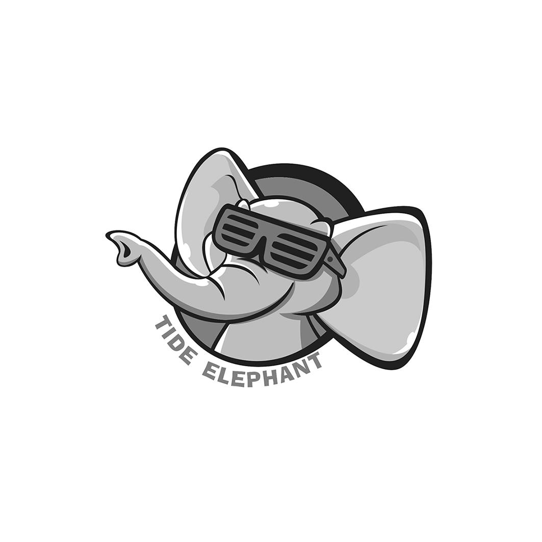 TIDE ELEPHANT