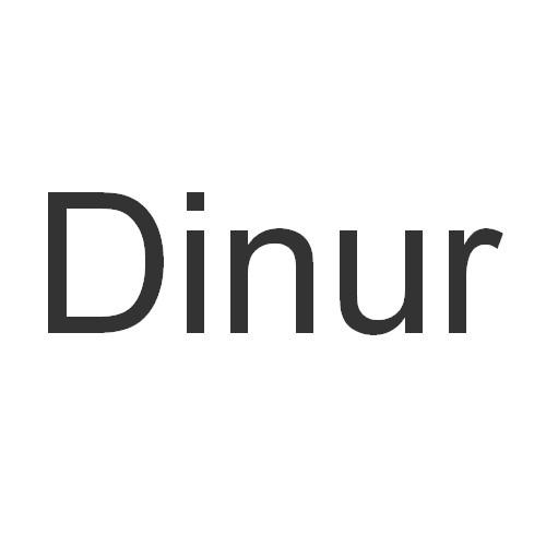 DINUR