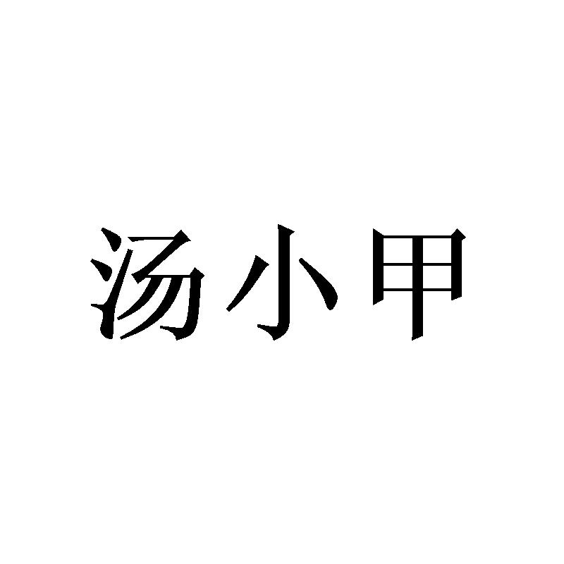 汤小甲