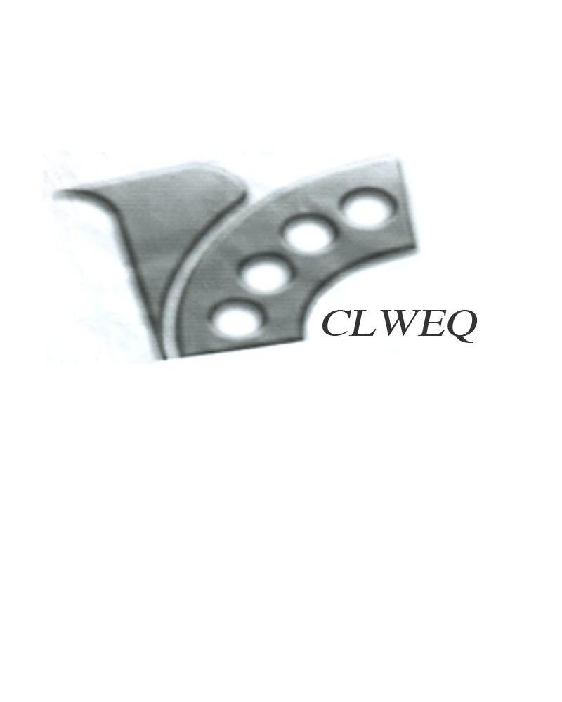 CLWEQ