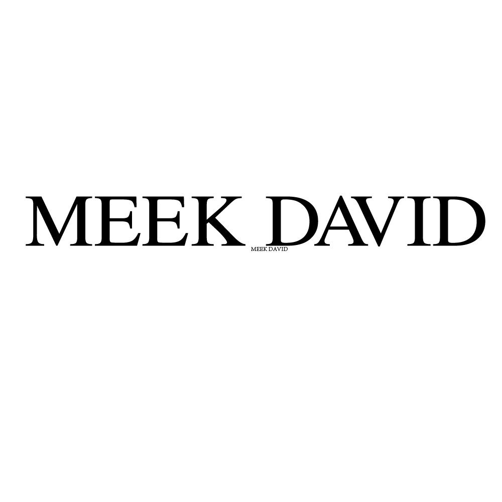 MEEK DAVID