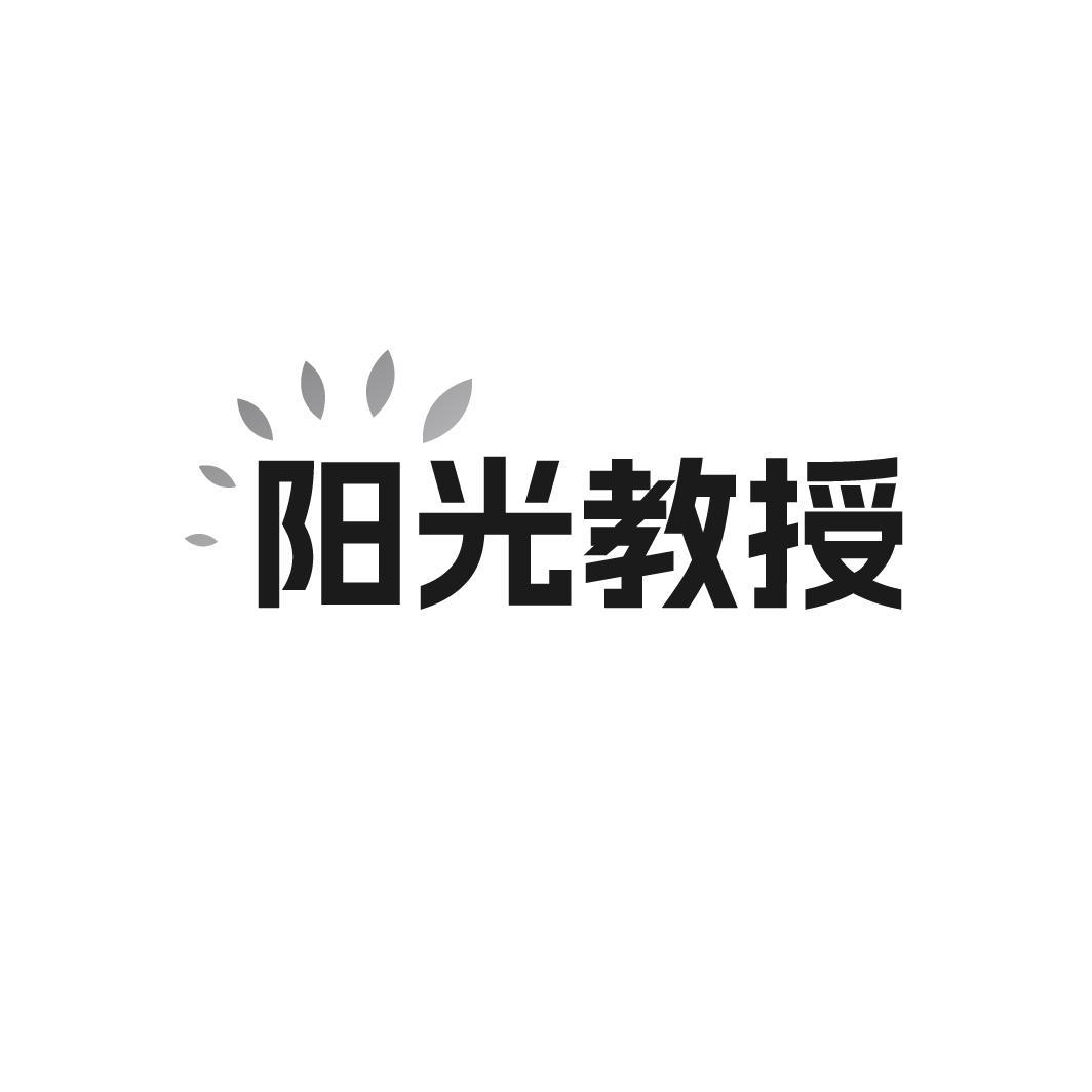 陽光教授