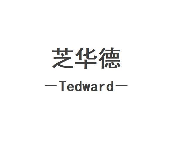 芝华德  TEDWARD