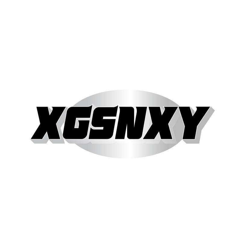 XGSNXY