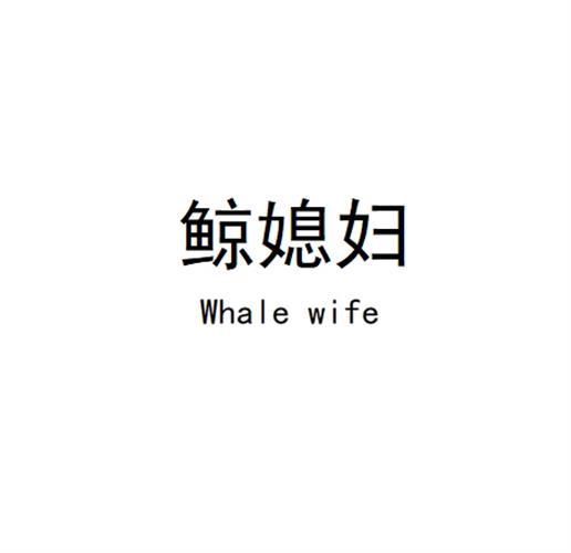 鲸媳妇  WHALE WIFE