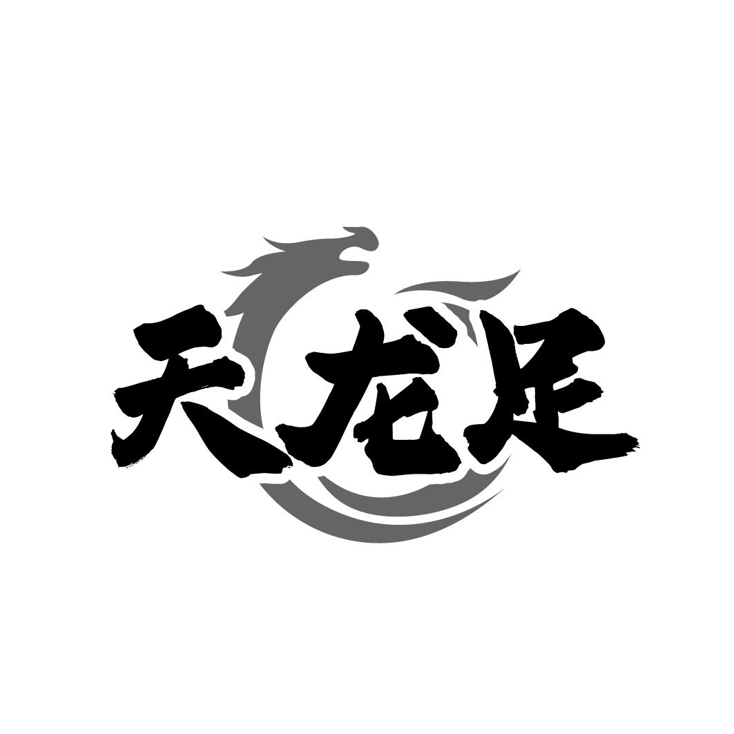 天龙足