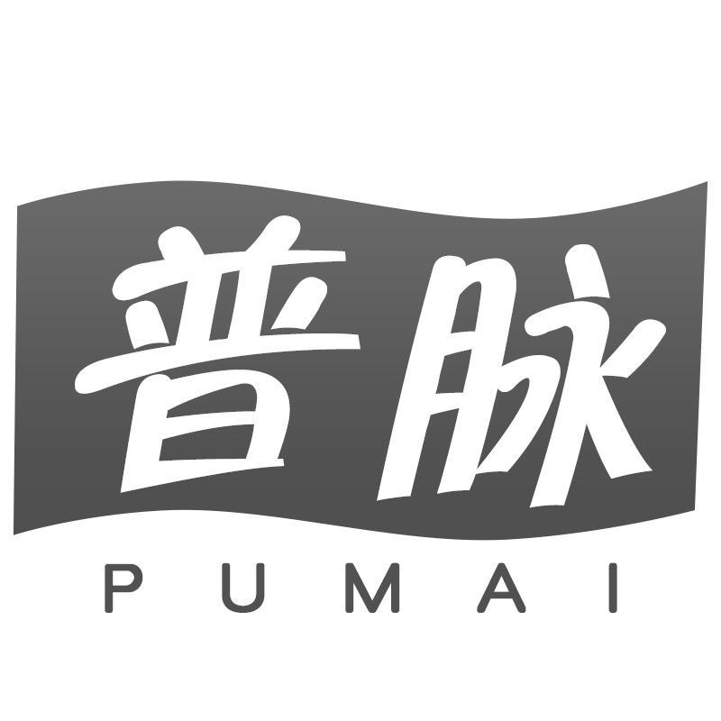 普脉