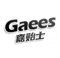 嘉贻士GAEES