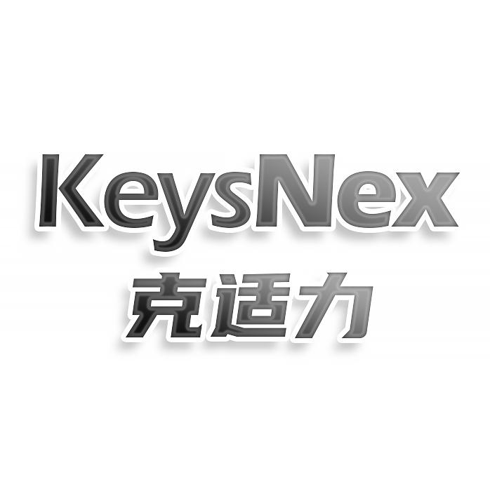 KEYSNEX 克適力