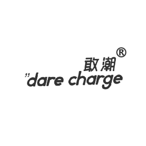 敢潮 DARE CHARGE