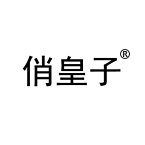 俏皇子