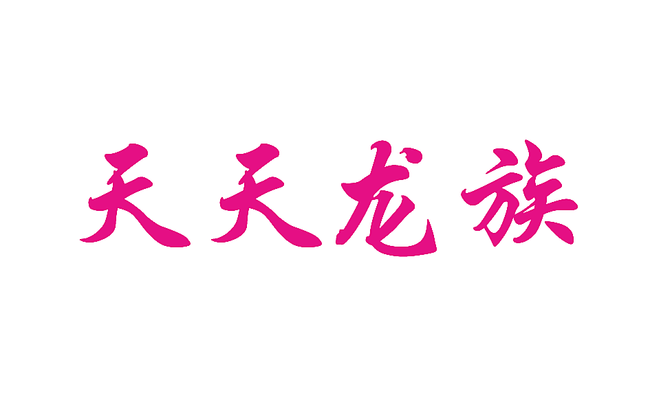 天天龙族