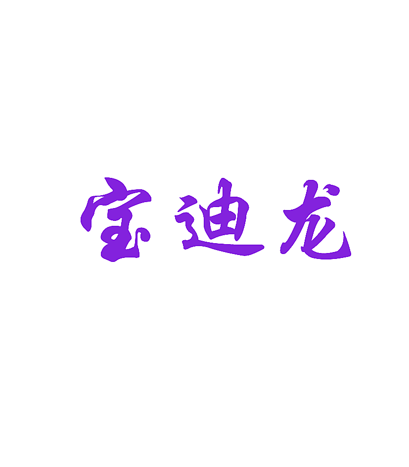 宝迪龙