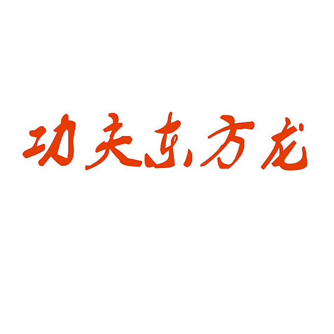 功夫东方龙