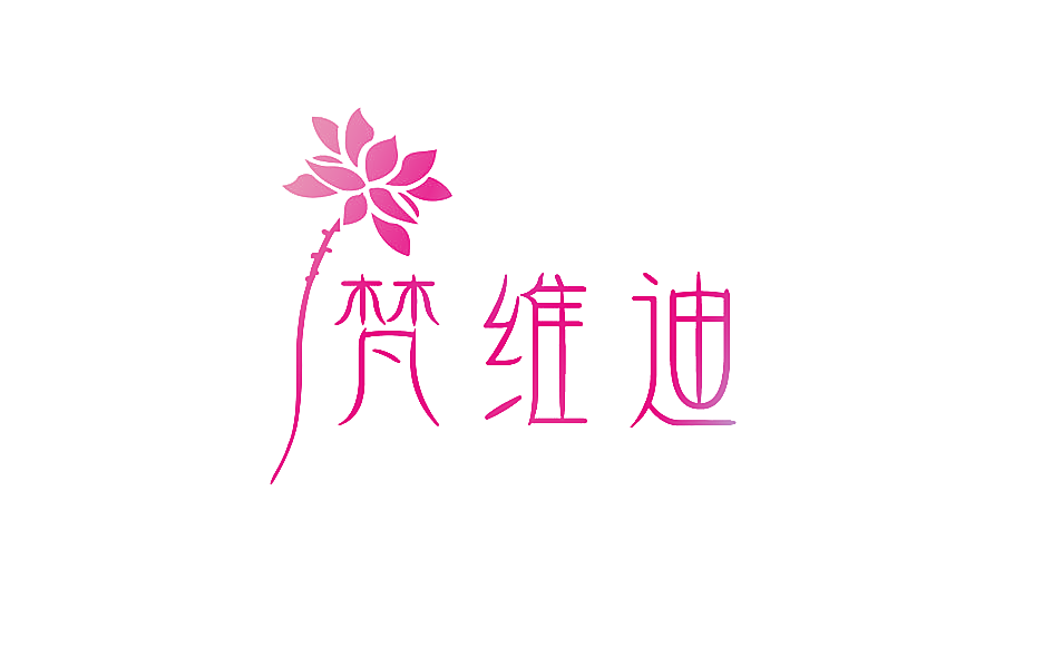 梵维迪