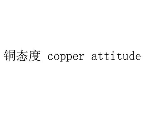 銅態度 copper attitude