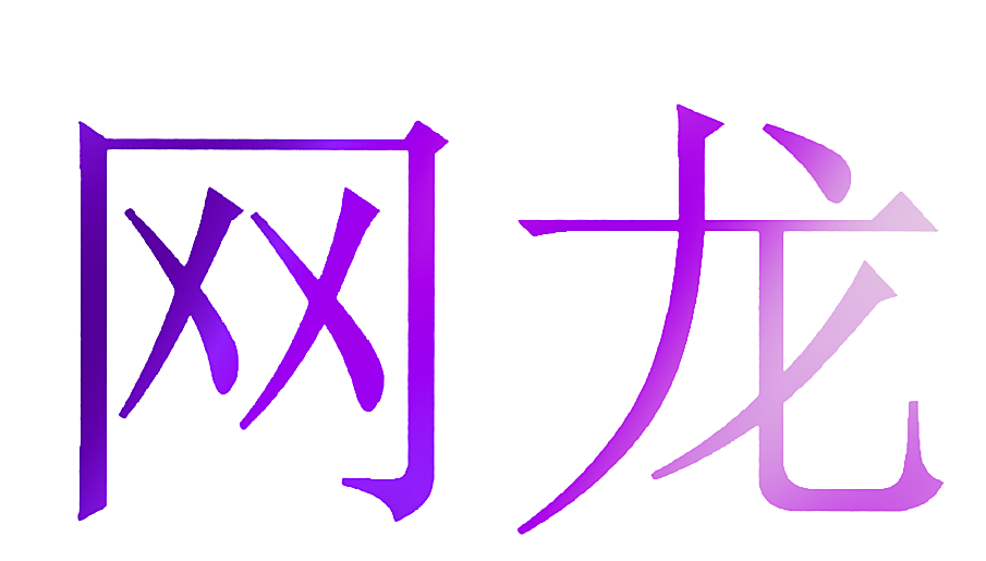 网龙