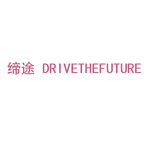 缔途  DRIVETHEFUTURE