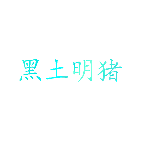 黑土明猪