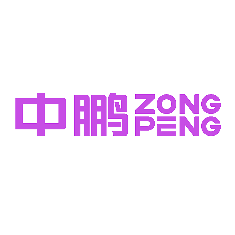 中鹏  ZONG PENG
