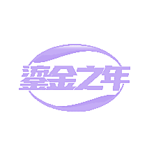 鎏金之年