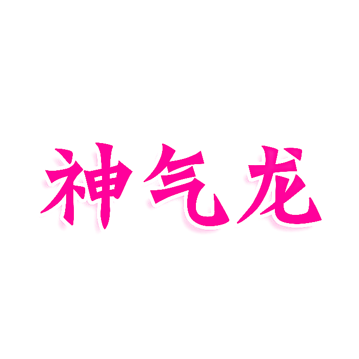 神气龙