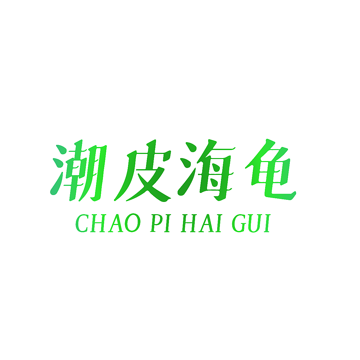 潮皮海龟