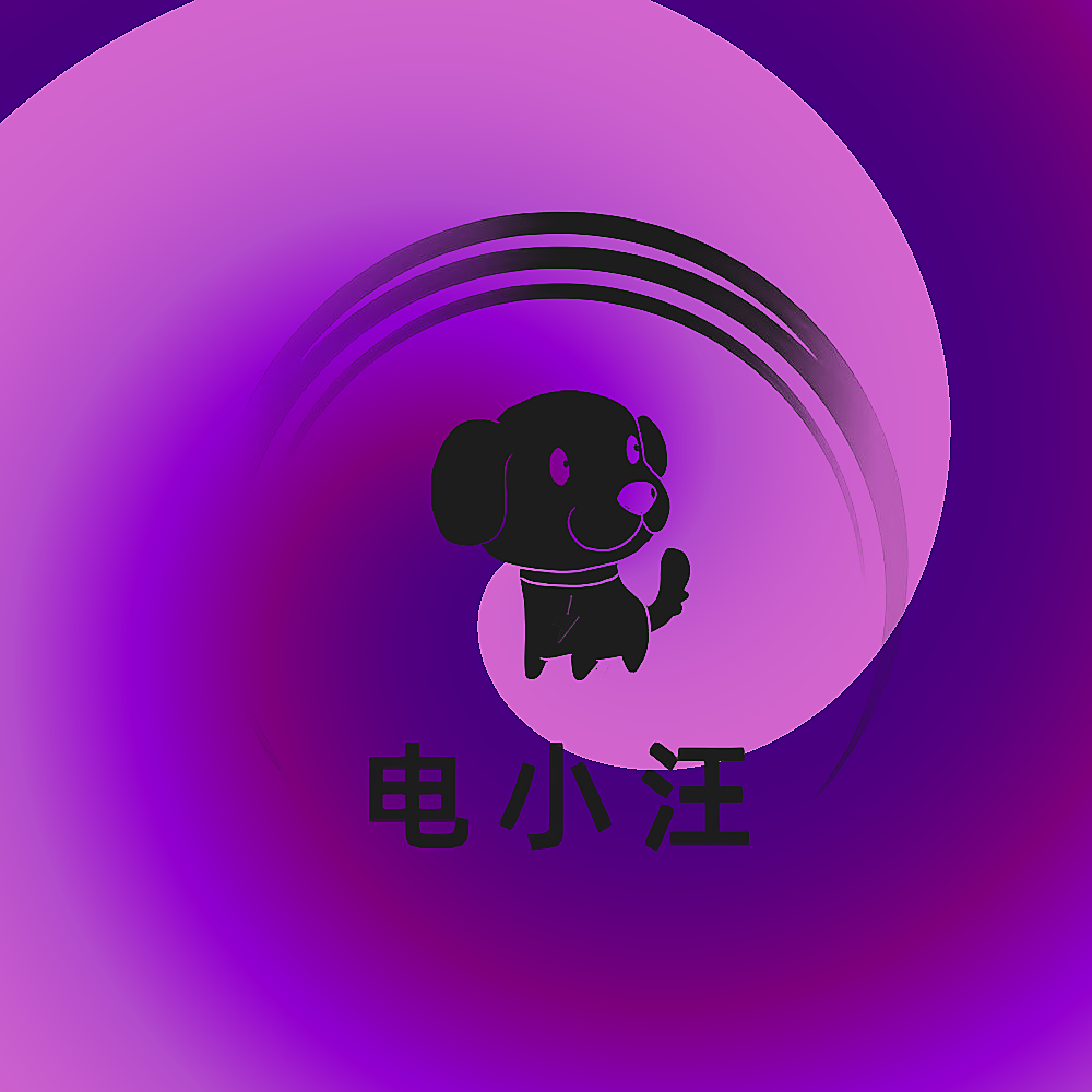 电小汪
