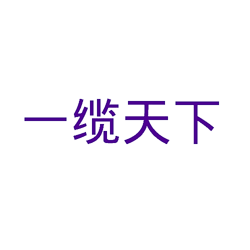 一缆天下