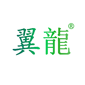 翼龙