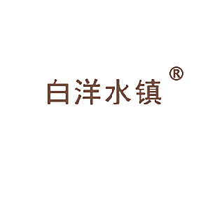 白洋水镇