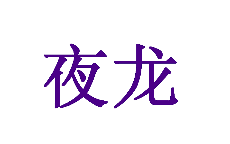 夜龙