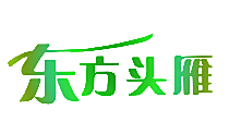 东方头雁