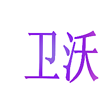 卫沃
